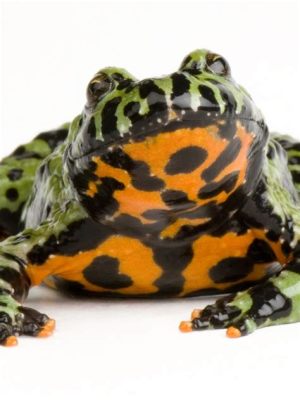  Fire-Bellied Toad: A Tiny Amphibian With a Fiery Personality That Will Leap Into Your Heart!